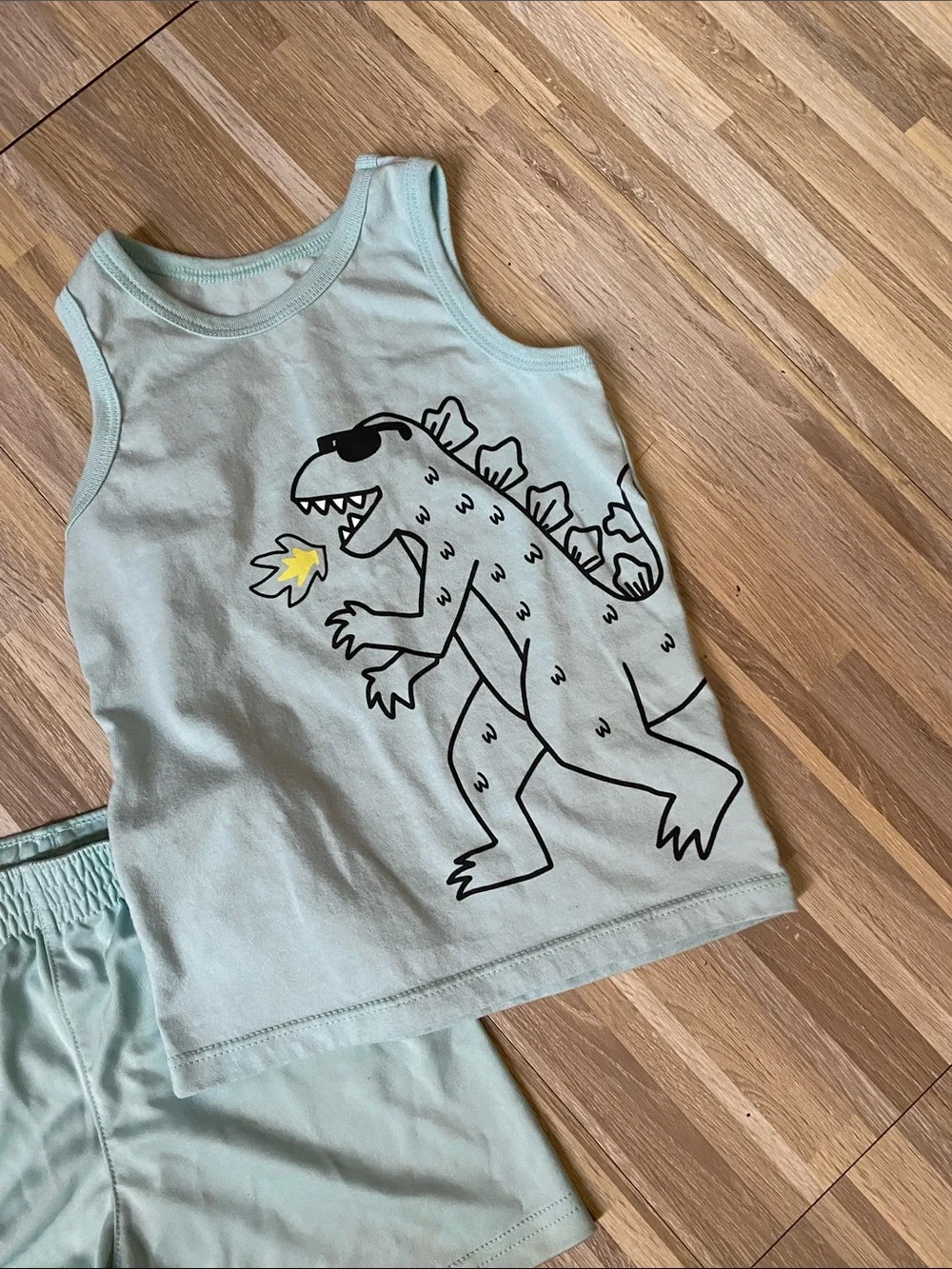 GARANIMALS 2 piece short set size toddler boys 2T